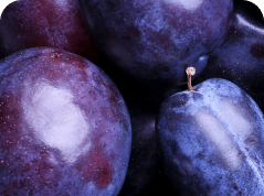 venta directa agricultor consumidor